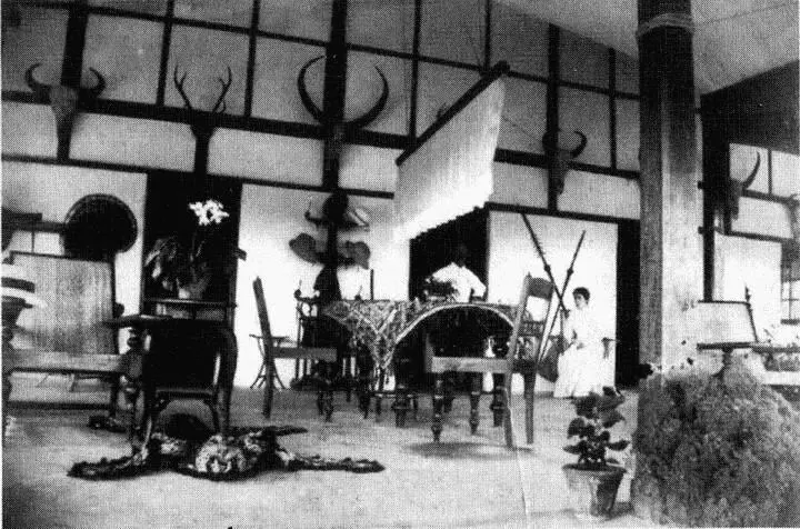 3 Имперский интерьер 1890 г В Индии и других местах британские клубы и - фото 3