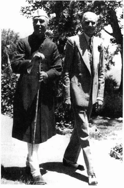 35 Неру и Джинна 1946 г К сожалению блестящие вдохновляющие других - фото 37