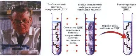 Возмутитель спокойствия Л Монтаньеи схема его эксперимента Дело в том что - фото 24