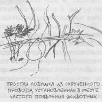 Птиц легко поймать жаберной сетью распределив её горизонтально прикрепив её к - фото 32