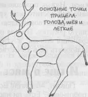 Охотиться за оленем и другими крупными животными можно не только сутками но и - фото 35
