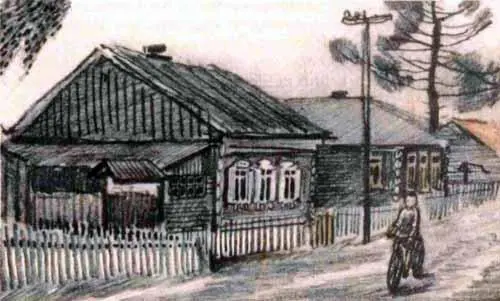 Васька Колачёв прокатил под окнами на новеньком велосипеде Петька эй - фото 42