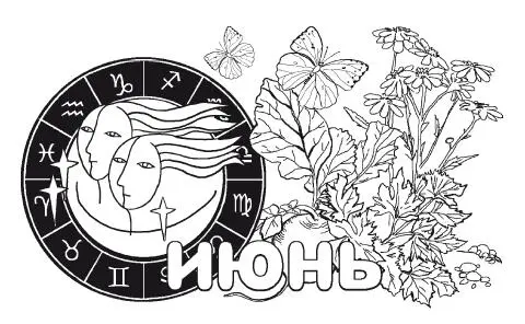Основные работы в июне 1К началу июня обычно ночные заморозки заканчиваются - фото 27