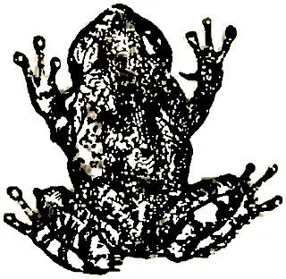 Древесная жаба Индейские знаки Знаки из камня Это дорога Поворот вправо - фото 185