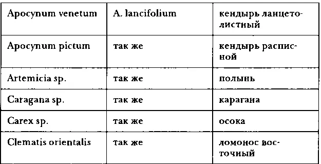 Таблица перевода русских мер в метрические - фото 113