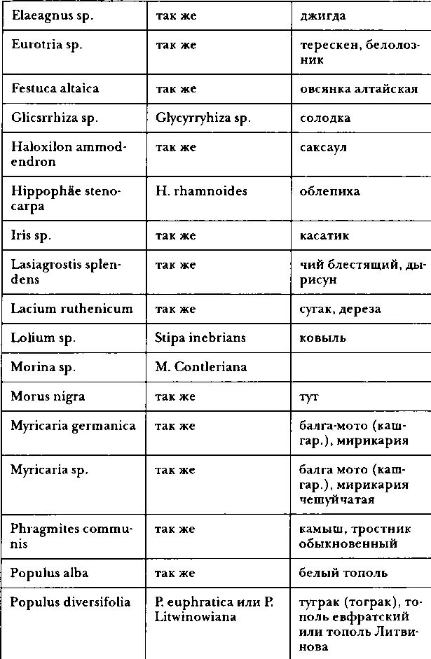 Путешествия по Китаю и Монголии Путешествие в Кашгарию и Куньлунь - фото 114