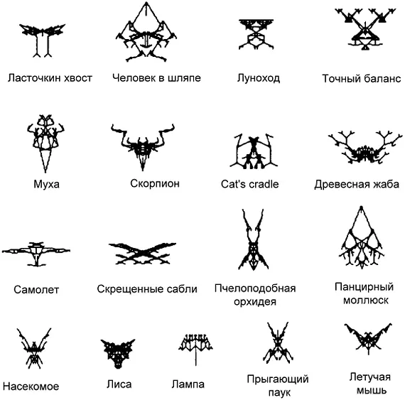 Рис 5 Отбор конкретной генетической формулы был бы тривиальным занятием - фото 5