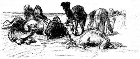 3 июня 1853 года вечер Почти всем арабским городам особенно городам Юга - фото 7