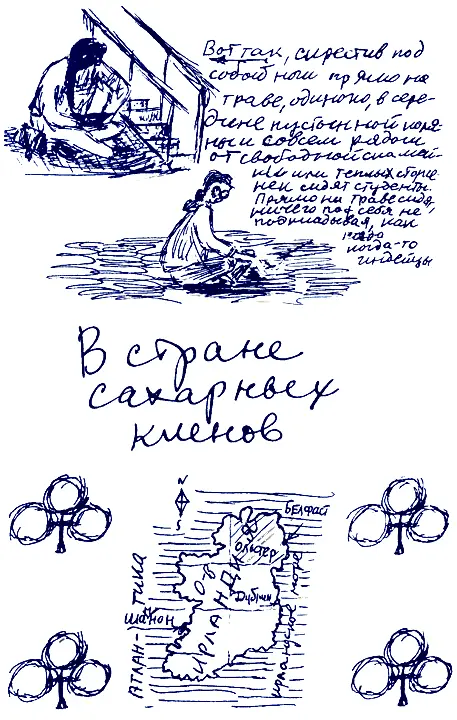 День Святого Патрика Дикобразы местных лесов Почему за поркупайном нельзя - фото 13