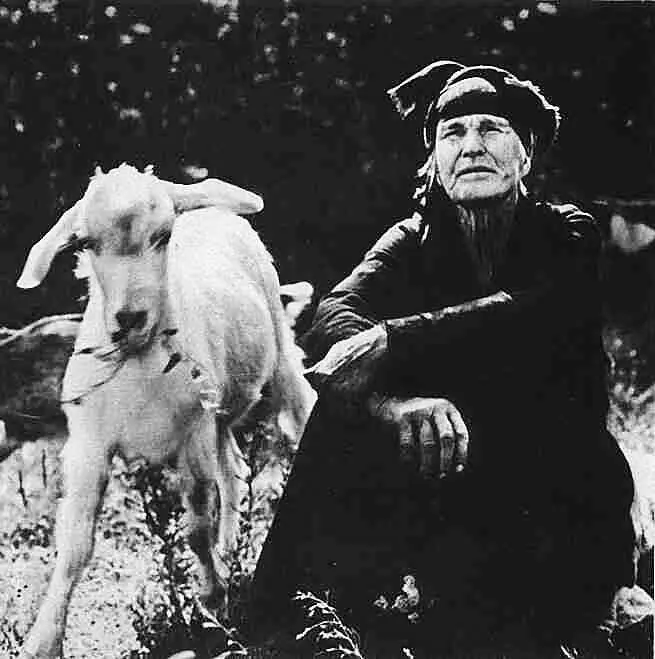 Фото 46 А Вовк Жилбыл у бабушки беленький козлик Заключая это - фото 49