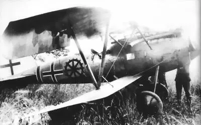 Albatros D V Хассо фон Веделя в 1918 г На борту видна его личная эмблема - фото 193