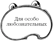 Символом верной супружеской любви как и символом доброго дома исстари - фото 3