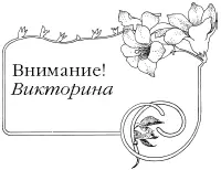 Кто знает еще одну известнейшую сказку Одоевского которая хоть и была написана - фото 17