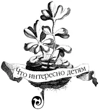 Злым жадным ленивым быть нехорошо Больше того НЕВЫГОДНО Может сразу что - фото 24