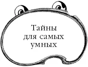 Раньше главным названием крупных кошекхищников было как раз слово пантера - фото 73