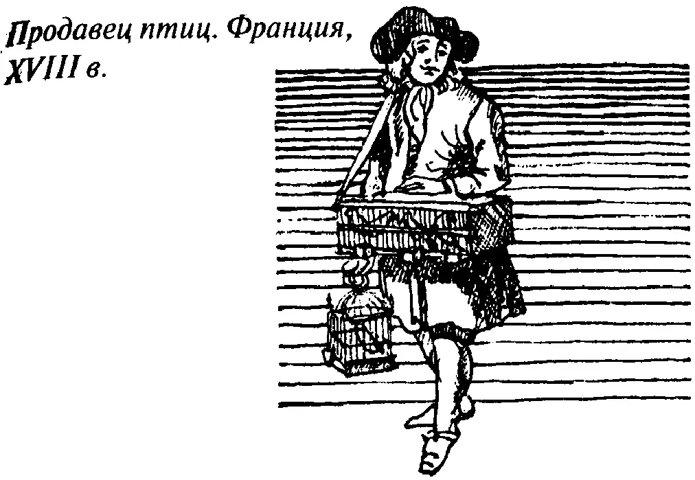 Вы хотите проверить не водит ли вас за нос комендант Зачем ему нужны - фото 38