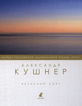 Александр Кушнер - Вечерний свет