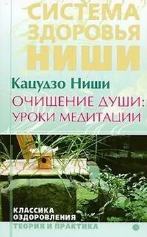 Ниши Кацудзо - Очищение души: уроки медитации