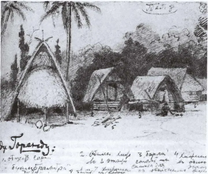 Деревня Горенду Рисунок Н МиклухоМаклая 1872 г МиклухоМаклай на - фото 37