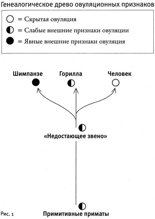 Однако в течение последних девяти миллионов лет у человека развилась скрытая - фото 1