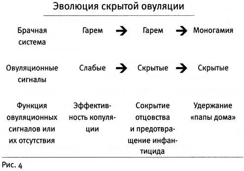 Каким же образом можно примирить два этих противоположных вывода Вспомним - фото 4