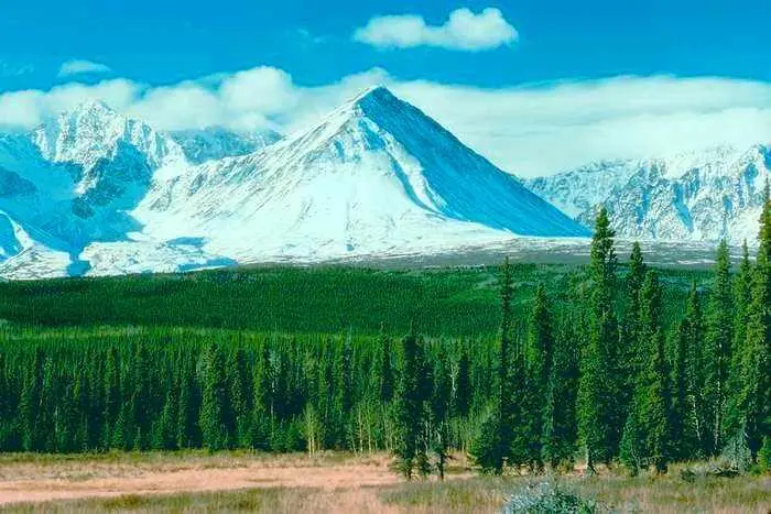 Сахалин На берегу открытого казаками Охотского моря Москвитин с товарищами - фото 113