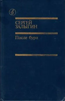 СЕРГЕЙ ЗАЛЫГИН - После бури. Книга вторая