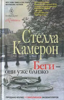 Стелла Камерон - Беги — они уже близко