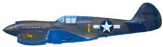 P40NICU 1 Sue из неизвестной части на территории США Камуфляж Olive - фото 111