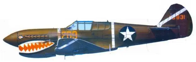 P40F15CU 4119831 209 Цветовые обозначения 68th FS 374th FG 13th AF - фото 116