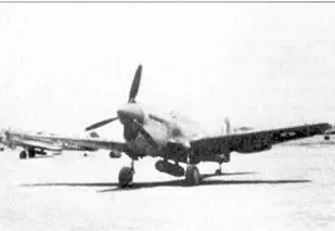 Нос южноафриканского истребителя Kittyhawk вероятно us Kittyhawk вероятно - фото 6