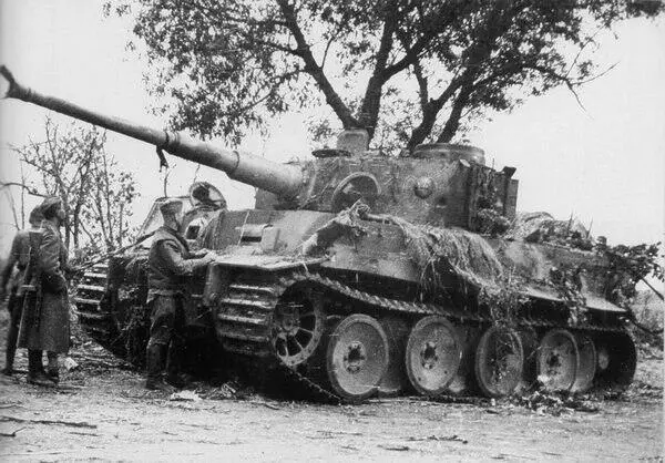 Танк 503го тяжёлого танкового батальона подбитый советскими артиллеристами на - фото 49