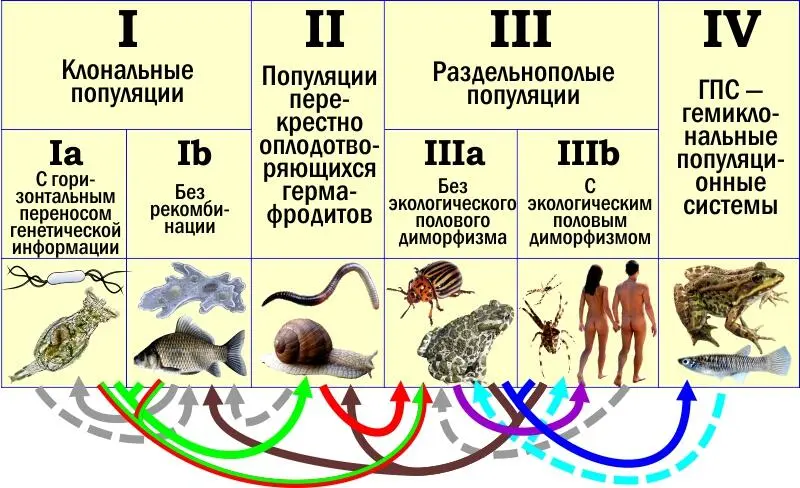 Я планирую в ближайшее время обсудить логику следующих переходов Возникновение - фото 26