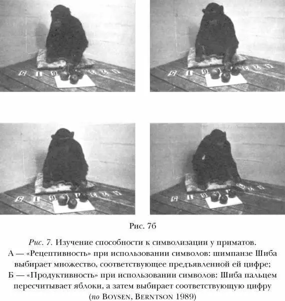 По той же методике Шиба освоила еще два символа цифры 0 и 4 а впоследствии - фото 8