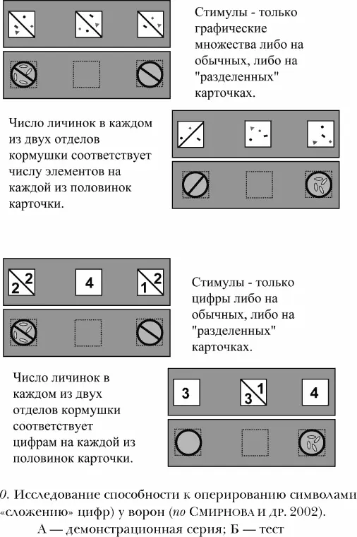 В отличие от демонстрационной серии в тесте на сложение мы использовали - фото 10
