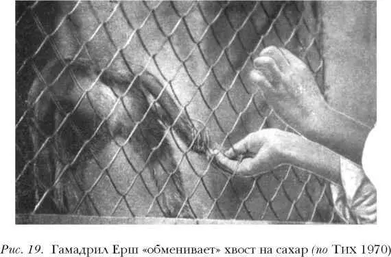 Затем исследователи попробовали превратить в сигнал т е в условный жест - фото 19