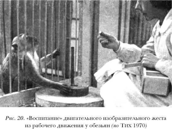 Анализируя предположение что в развитии средств общения первобытного человека - фото 20