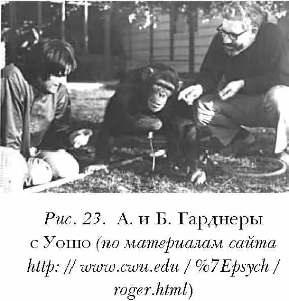 Прежде чем планировать собственные опыты они внимательно познакомились с - фото 23