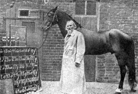 Рис 28 Фон Остен и Умный Ганс по ЛАДЫГИНАКОТС 1914 Поведение его было - фото 29