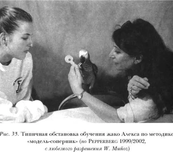 В соответствии с теорией социального моделирования для того чтобы привлечь - фото 36
