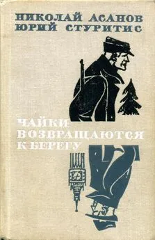 Николай Асанов - Чайки возвращаются к берегу. Книга 1 — Янтарное море