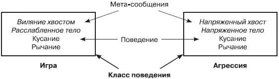 Одно и то же поведение рычание может относиться к двум разным классам игра - фото 15