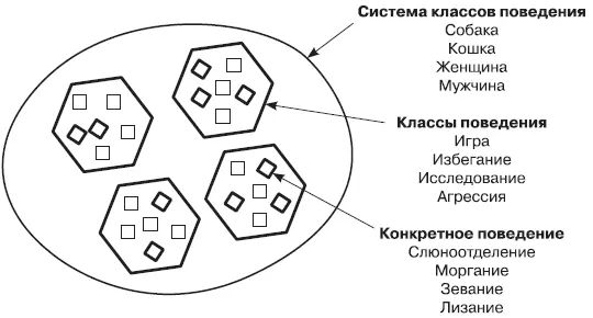 Разные уровни обучения в связи с изменениями в разных классах поведения - фото 18