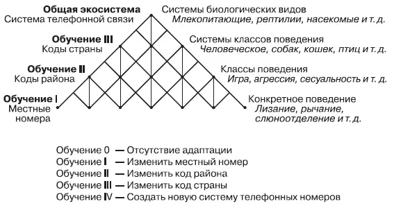 Аналогией с уровнями обучения Бейтсона были бы изменения в разных частях - фото 19