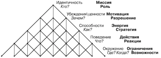 Нейрологические уровни могут быть представлены в виде серий упорядоченных - фото 23