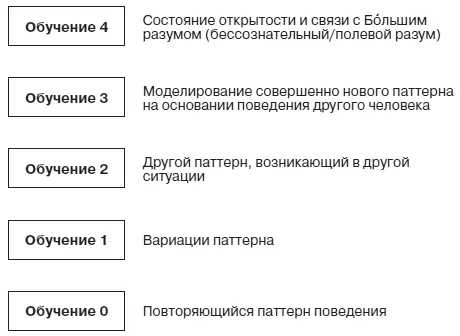 Холархии Кестлера Всю свою жизнь Бейтсон исследовал теорию логических типов - фото 31