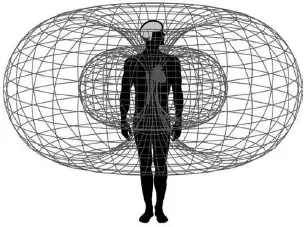 Электромагнитное поле сердца Исследования HeartMath показывают что - фото 71