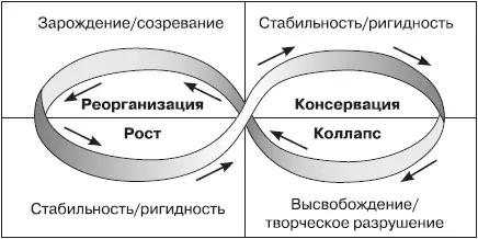 Цикл адаптации Холлинга карта стадий изменений в экосистеме Традиционно - фото 74