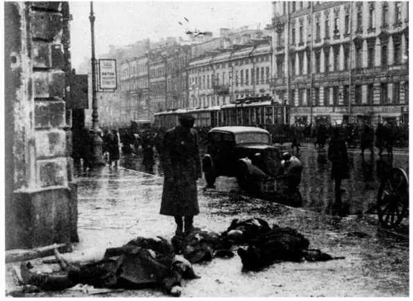 Ленинградский Блицкриг На основе военных дневников высших офицеров вермахта генералфельдмаршала Вильгельма Риттера фон Лееба и генералполковника Франца Гальдера 19411942 - фото 31