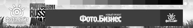 Рис 22 Калибровочная полоска на сайте photosightru Более точную настройку - фото 9